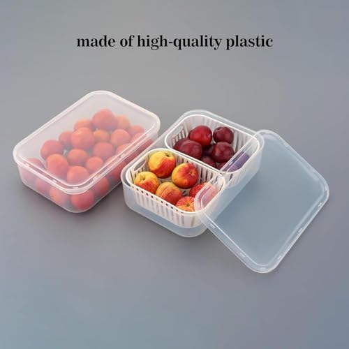 Image of TASMAX Fridge Storage Boxes, Plastic Fridge Containers, Fridge Accessories Items, (FRIDGE CONTAINER 2 GRID)