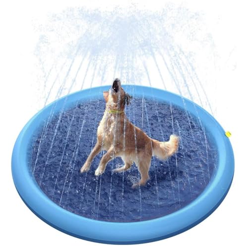Alfombra de agua para niños y perros de jardín