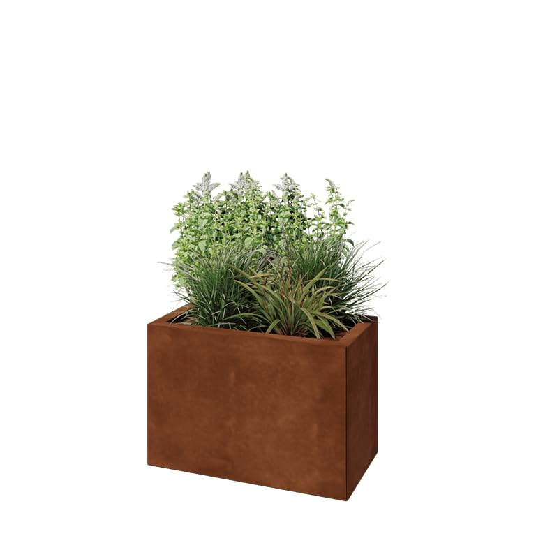 Jardinière en Acier Corten - Rectangle - 60x30x40cm - Couleur Rouille - sans Fond