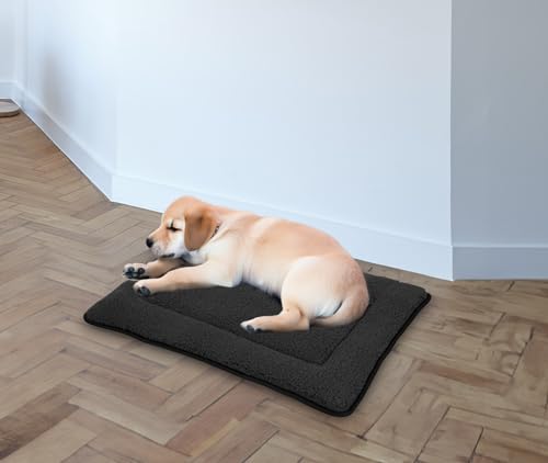 Spetebo Plüsch Haustiermatte waschbar 60 x 40 cm - anthrazit - Hundebett mit Rutschfester Unterseite - Schlafmatte Tierdecke Heimtiermatte Bett Kissen Matte Decke für Hunde und Katzen