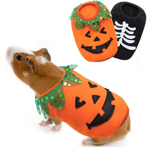 Halloween Pumpkin and Bones Shirts