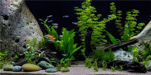 MIRRORANG 91x41cm Vinyl Underwater Aquatic Plant Fish Tank Background Stone River Bed & Lake Aquarium Background
