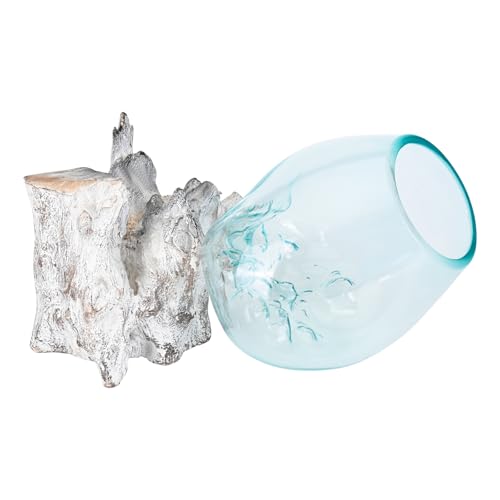 BAGUS Home DÉCOR Glass Aquarium on White Driftwood - Elegant Handcrafted Tabletop Decor with Unique Melted Glass Design | Perfect for Home & Office (Large)
