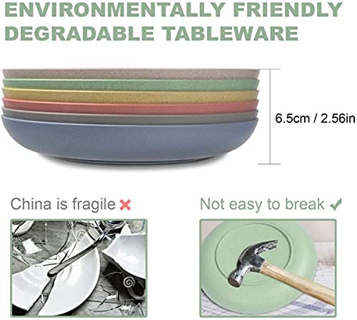 Hobein 6 Pack Lightweight Wheat Straw Plates- Lightweight Wheat Straw Plates,9 Inch Unbreakable Dinner Plates, Dishwasher & Microwave Safe #TOP3