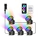 NATPOW Teichbeleuchtung LED Unterwasser, Unterwasserbeleuchtung RGB Unterwasser Teichlicht mit Bluetooth APP Fernbedienung, IP68 wasserdicht, Gartenbeleuchtung für Garten, Patio, Baum(5 in 1)