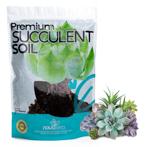 Succulent Soil Potting Mix Succulents Plants Live Succulent pots Potting Soil for Succulents Indoor suculentas Potting 2 oz Free Fertilizer Pellets Bag Inside 2.4 Qts