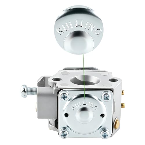Carburateur Ruixing 753-06190 régulation essence stable pour Craftsman WS2200 - 2