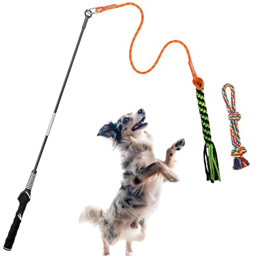 TUAHOO Reizangel für Hunde, Hundeangel für Ultimativen Spielspaß und Körperliche Auslastung - Interaktives Spielzeug Seil Für Kleine, Mittlere und Große Hunde