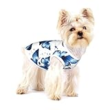 Compat de race : les beaux t-shirts pour chien à imprimé papillon s'adaptent à une large gamme de petites races de chiens, y compris les chihuahuas, les carlins, les shih tzus et les jeunes bouledogues français, ainsi que les chats, promettant un confort pour tous.