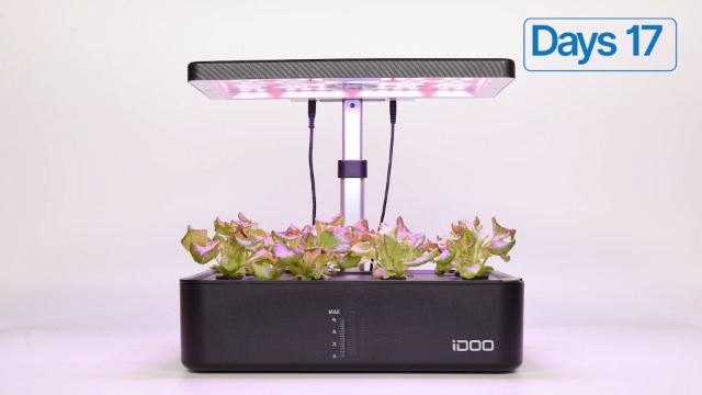 iDOO Seed Pods kit for Hydroponics System, with 12 Growth Sponges, 12 Grow Baskets, 12 Pod Labels, 12 Grow Domes, 2 Plant Food, Compatible with All Brands of Hydroponics Supplies