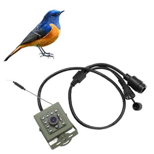 Outdoor Camera, Security Camera with 10 LED Wide Angle Infrared Flood Light, Night Vision Wi - Fi Security Camera for Bird Watching, Animal Watching (IMX335 CMOS Sensor 5MP)