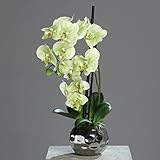 🏡 Blickfang in Ihrem Wohnambiente, da diese Kunstblume weder Licht noch Wasser benötigen, können Sie diese pflegeleicht überall aufstellen