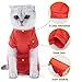 Harikaji Cat Recovery Suit, After Surgery Wear for Abdominal Wounds Spay,Pet Cat Weaning Onesie Suit(Orange,L)