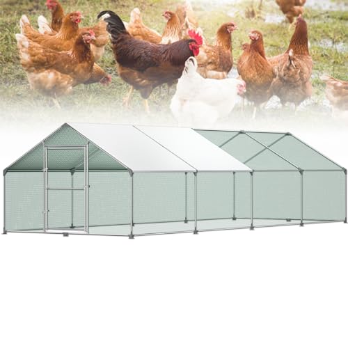 Froadp 3x8x2m Cages à Poulet d'extérieur 24㎡ Grand...