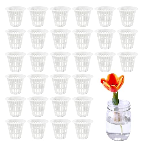 Anfiodas 水耕栽培鉢 定植かご 30個セット プラスチックメッシュポット 園芸 ガーデンニング 植物栽培 給水栽培育苗かご、植物ガーデンニング栽培苗運搬用 白 (中型サイズ) [並行輸入品]