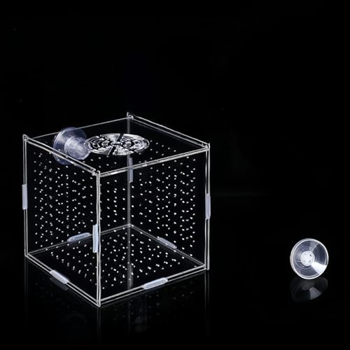 RoBeKaU 稚魚 隔離ケース ミニ 隔離 アクリル 繁殖隔離ボックス メダカ グッピー 産卵箱 水槽 透明 アクリル 水族館アクセサリー 魚の隔離 稚魚 繁殖隔離ボックス 二重固定 省スペース 取り付け簡単 外掛け可 (透明 1グリッド 10×10×1