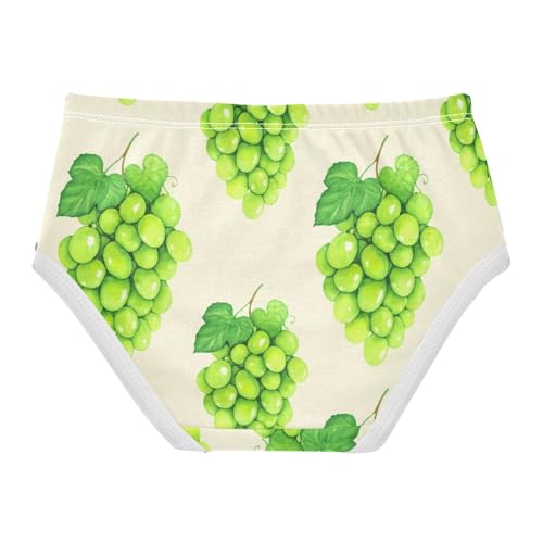 Pattern Toddler Girls Underwear 2t Cotton Panties for Girl Green Grapes Leaves Beige Underpants Briefs2