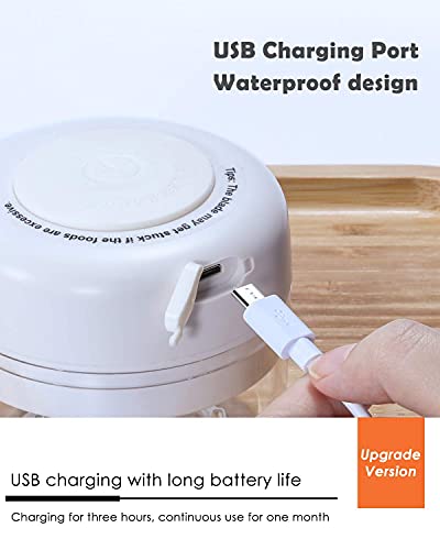Ayotee Cordless Portable Mini Food Chopper, Small Electric Food Processor For Garlic Veggie, Dicing, Mincing & Puree, 100Ml, Baby Food Maker, White #TOP6