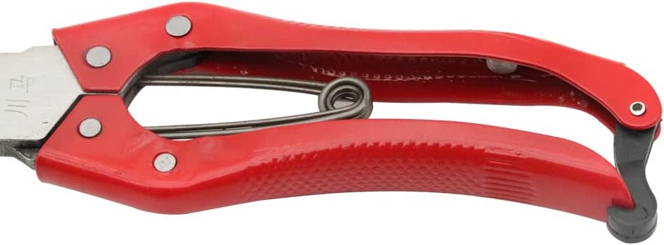 Hand Shears for Sheep Multifunctional Sheep Shear Wool Shear Trimming Scissor with Spring Stainless Steel Garden Kitchen Scissors - Image 4