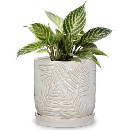 Image of Arborus Ceramic Plant Pots 14CM White Plant Pots with Drainage Holes and Saucer Modern Embossed Leaf Ceramic Planter Indoor Plants Pot Decorative Flower Pot for Garden Succulents Cactus Orchid
