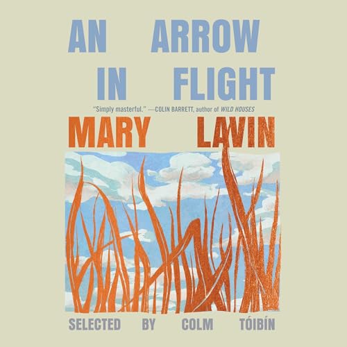 Page de couverture de An Arrow in Flight