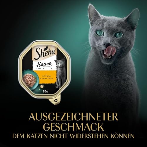 SHEBA Schale Nassfutter für Katzen Sauce Collection mit Pute in Heller Sauce 2 x 11 x 85g
