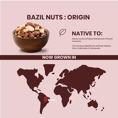 Image of Livyor premium Brazil Nuts- 100g | Grade A ++ Nuts | Premium Jumbo Size | Rich in Selenium and Antioxidants | No Cholesterol | Brazil Superfood | Whole Brazil nut | Pack of 1