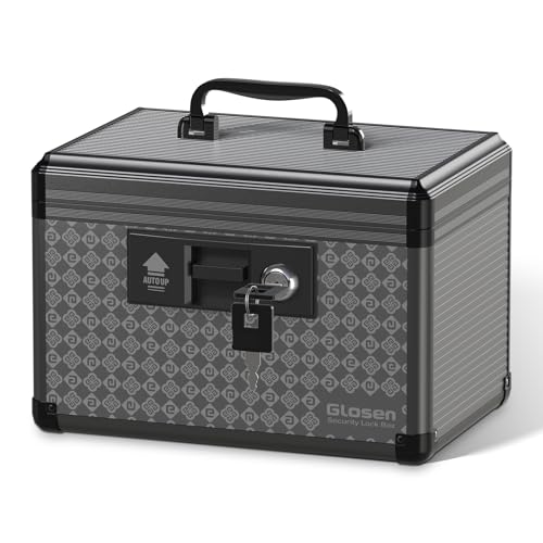 Glosen Security Lock Box with Keys, Aluminum Alloy Frame Portable Medicine Lock Box for Home, Office & School, Secure Storage Box for Personal Items, Snacks and First Aid Supplies 10 * 6.7 * 6.7inch