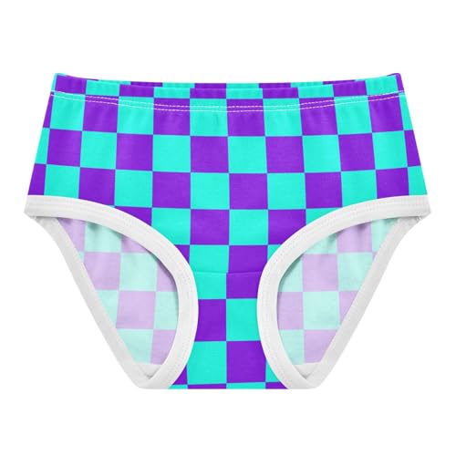 Purple and Teal Buffalo Checkered Toddler Girls's Underwear 2T