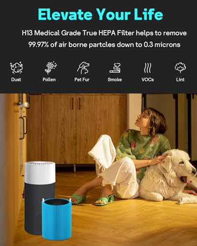 Image of Leemone Blue Pure 411 Series AllergenBlock Filter Compatible with Blueair Blue Pure 411, 411 Auto, 411+ Air Purifier, 2 Pack