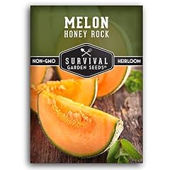Honey Rock Cantaloupe Seeds for Planting, Heirloom Melon