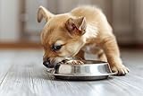 Canina Welpenkalk Pulver, 300g
