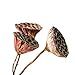 Produktbild KDHJY Hohe Qualität Natürliche Getrocknete Bonsai-Dekor Seedpod von Lotus 3pcs Echt Pflanzen Blumen Getrocknete Brwon Lotus Pods mit Stielen deko Blumen (Color : 3pcs Brown no Seed, Size : L)