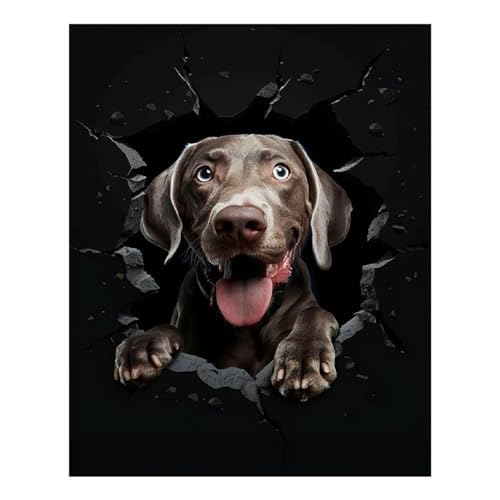 Peinture diamant Weimaraner 40x50 cm, kit de broderie diamants complet pour adultes