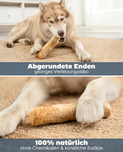 lionto Kaffeeholz für Hunde, Größe XL, 100% natürliches Robustes Kauspielzeug für gesunde Zähne, umweltfreundlicher Kauknochen für Welpen, langlebig & splitterarm, für Hunde bis 40 kg