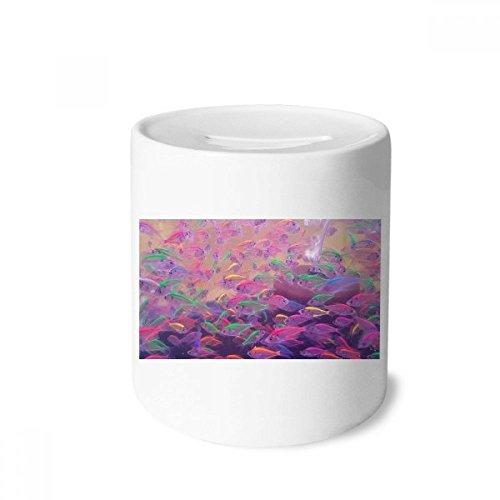 Tirelire en céramique poisson de mer nature science pour enfants et adultes 9cm H