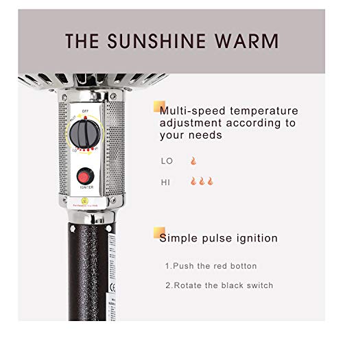 Patiomore Outdoor Propane Heater Patio Tall Standing Heater, 40000 BTU, Matte Bronze