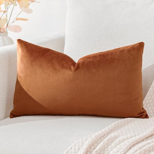 Artscope Luxury Velvet Cushion Covers Super Soft Decorative Throw Pillow Covers Case Lumbar Cushion Cases for Sofa Couch Bedroom Car Decor 30x50cm Orange