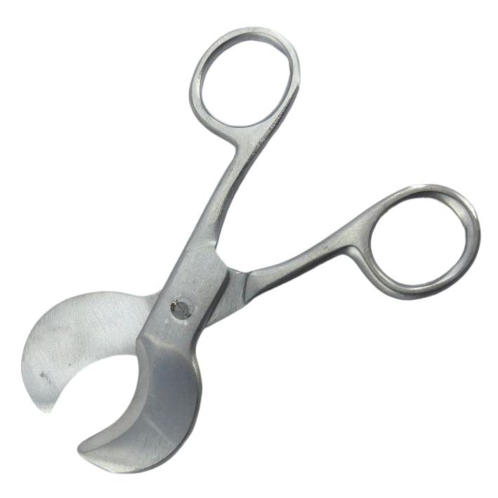 Image of Cord Cutting Scissor | Stainless Steel Delivery Instrument for Maternity, Labor & Childbirth | Surgical Tool for Umbilical Cord Clamp & Cut | 5.5 Inch | Pack of 1