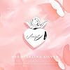 NUJIFFY Breloque en argent 925 - Motif animaux roses - Avion - Cœur - Musique - Café - Livre - Bijoux pour bracelet - Mignon - Pour femme et homme - Amis - Sœur - Anniversaire, Argent Cuivre, Pierre #2