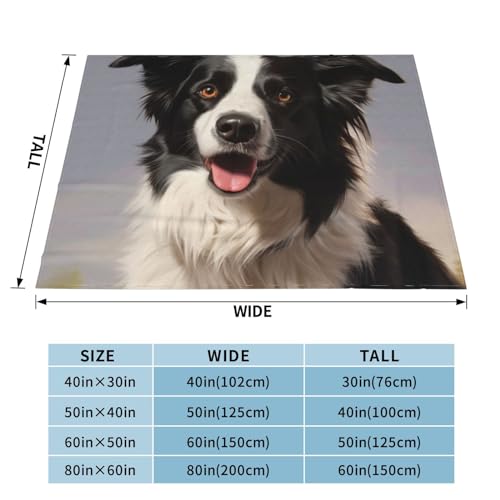 Couverture Border Collie, cadeau idéal pour passionné de chiens
