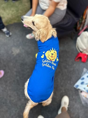 Image of Thunder Tails Premium Cotton Dog T-Shirt | Adjustable Neck | for Large Dogs| Royal Blue | 3XL | for Golden Retriever