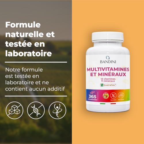 Bandini® Multivitamines et Minéraux 365 Comprimés (1 An) - 24 Nutriments Essentiels dont Vitamines A B C D E K Calcium Magnesium Zinc Fer Iode Acide Folique Biotine - Immunité, Fatigue, Cheveux, Peau – Image 6