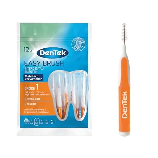 Dentek Easy Brush ISO