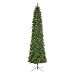National Tree 12 Foot Kingswood Fir Pencil Tree (KW7-500-120)