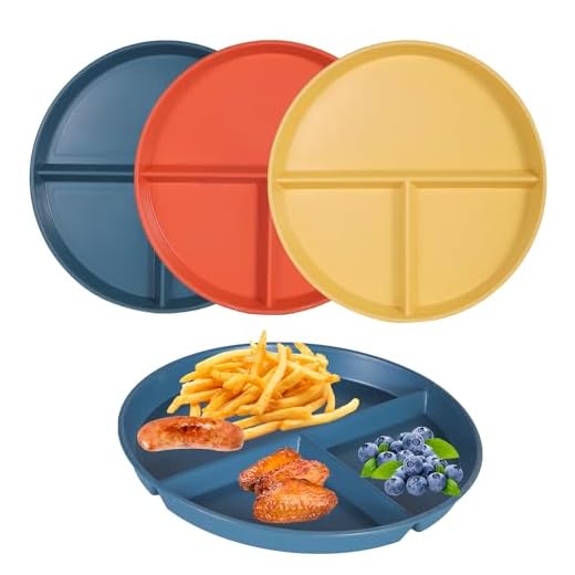 Divided Dinner Plates for Portion Control