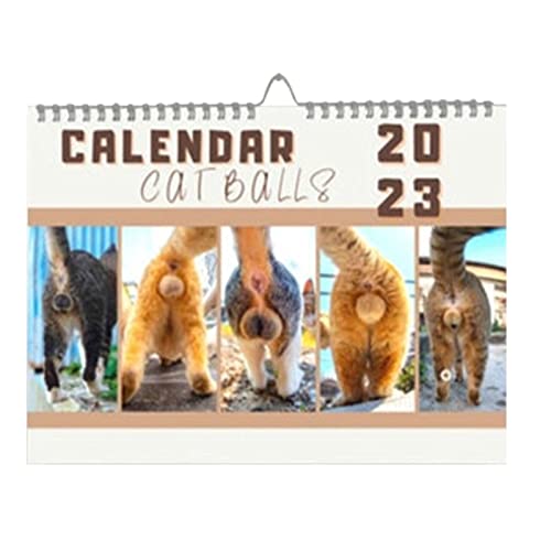 list-of-10-best-cat-ball-calendar-2023-reviews