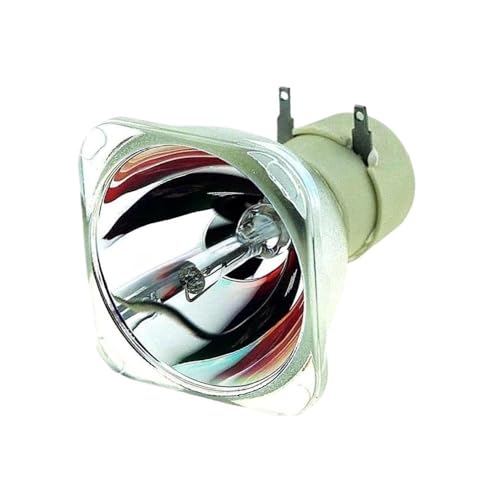 Lampe RLC-100 pour réparer un projecteur ViewSonic PJD7828HDL usagé