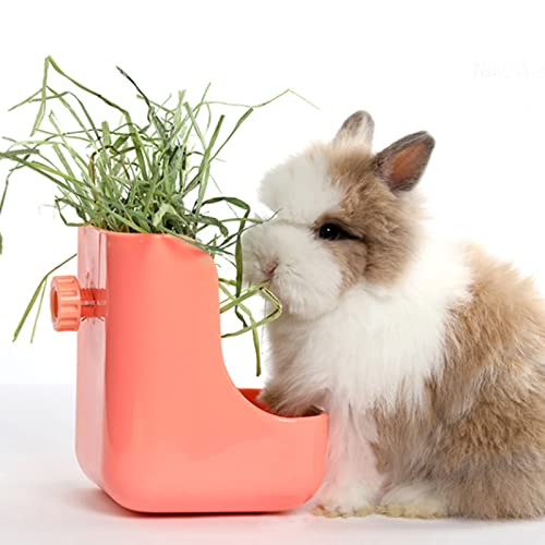 Ohcool Timothy Hay 2.2 Pounds - Premium Hay For Rabbits Guinea Pig Turtle Chinchilla - Fresh Natural Dust Free Hay (1.1 Pound, 2 Pack)