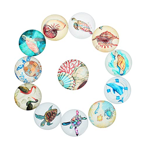 KICHOUSE 20個小丑魚デザインのガラスパッチ ジュエリー用 海洋生物パター